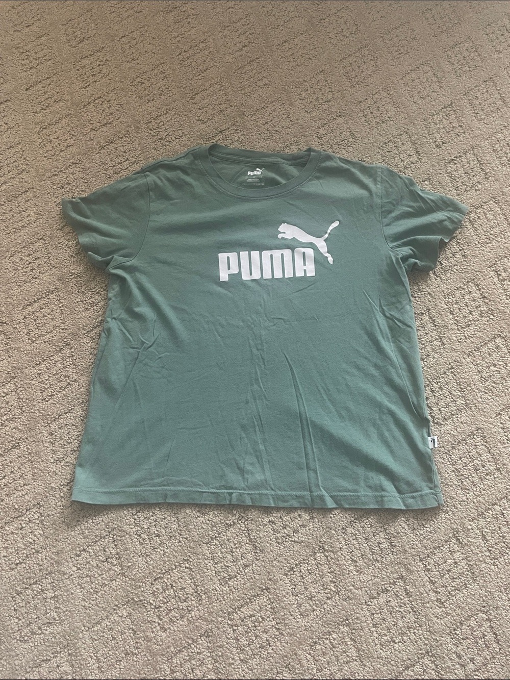 Puma Logo Tee in Sage Green